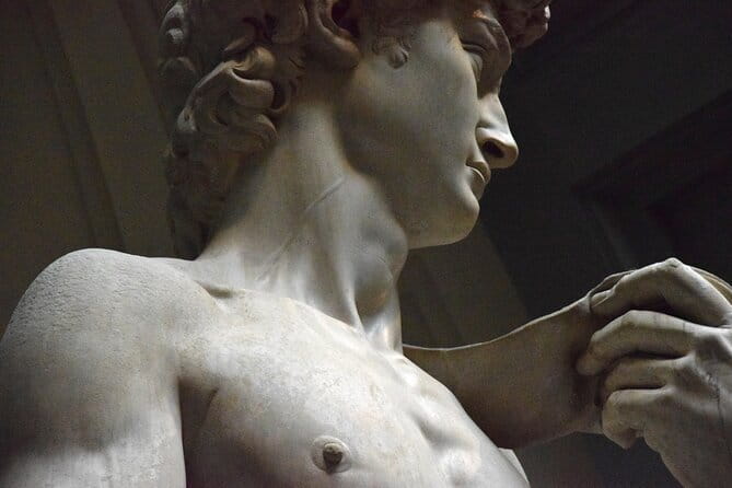 Accademia Gallery Entrance Ticket with Priority Access - What priority access really gives you