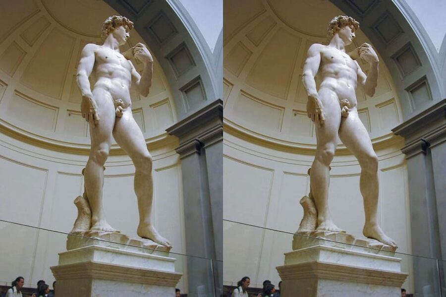 Accademia Gallery Priority Entry Ticket with e-Book - The Gipsoteca and the Salone dell’Ottocento