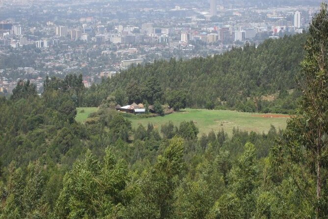 Addis Ababa +Mount Entoto View Point,Museums Palace Market Tours - City monuments and the difficult parts of Ethiopia’s past