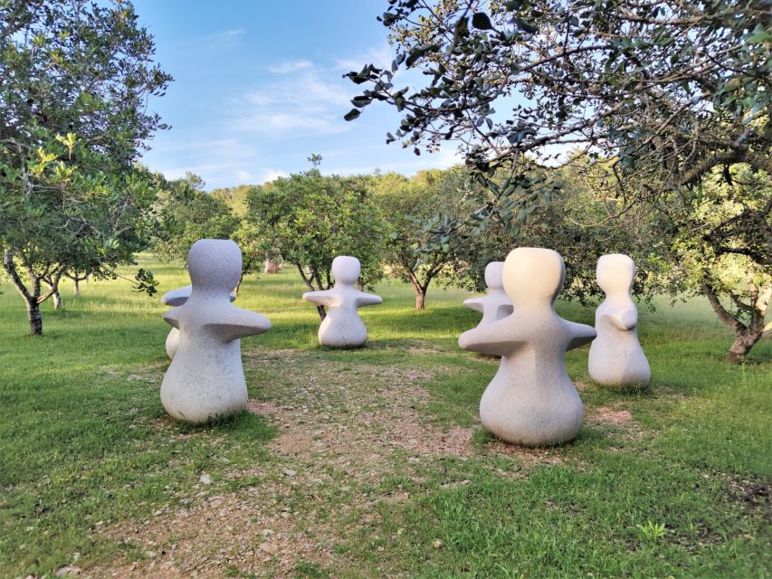 Alcudia: Museum Sa Bassa Blanca Entry Ticket - Start with the Nins Collection in the Aljub