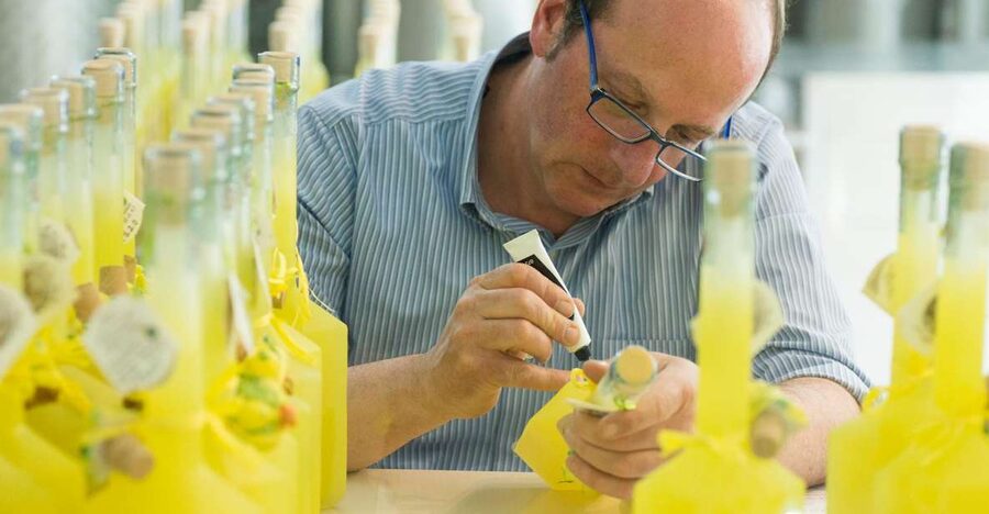 Amalfi: Vertical Lemon Farm Tour, Tastings, and Rural Museum - Key points to know before you go
