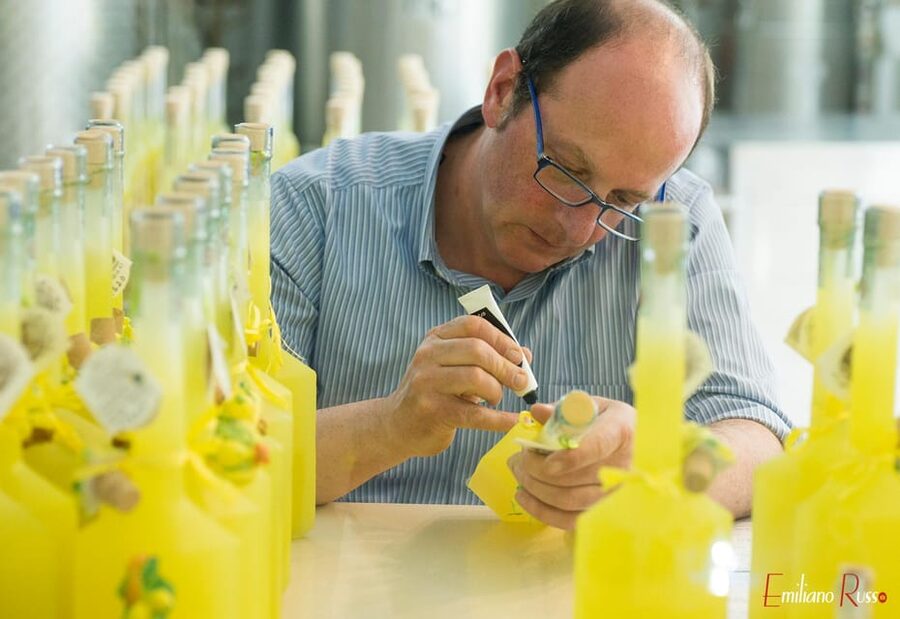 Amalfi: Vertical Lemon Farm Tour, Tastings, and Rural Museum - A family farm with a personal story