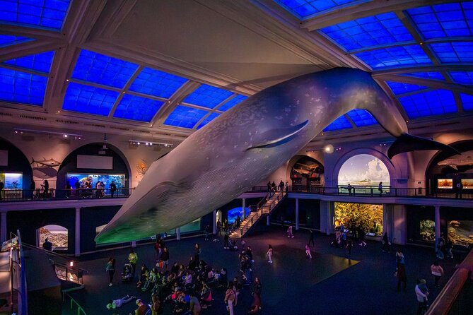 American Museum of Natural History Admission Ticket - A giant museum with a clear wow factor