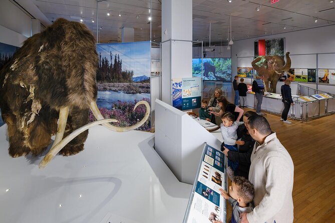 American Museum of Natural History Admission Ticket - Getting inside: allow time for the voucher exchange