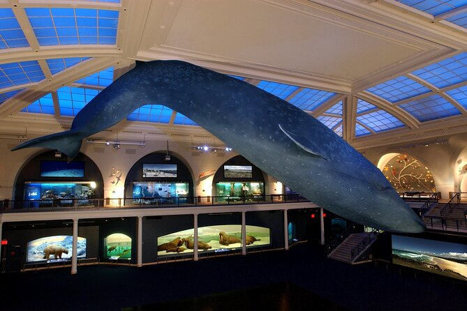 American Museum of Natural History Admission Ticket - The blue whale and Akeley Hall bring the animals to life