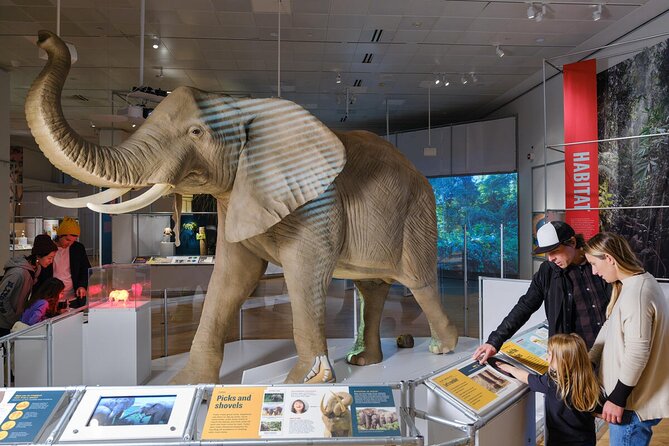 American Museum of Natural History Admission Ticket - Crowds, closures, and the best time to visit
