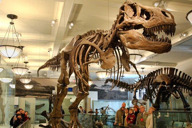 American Museum of Natural History Admission Ticket - What your $37 admission includes