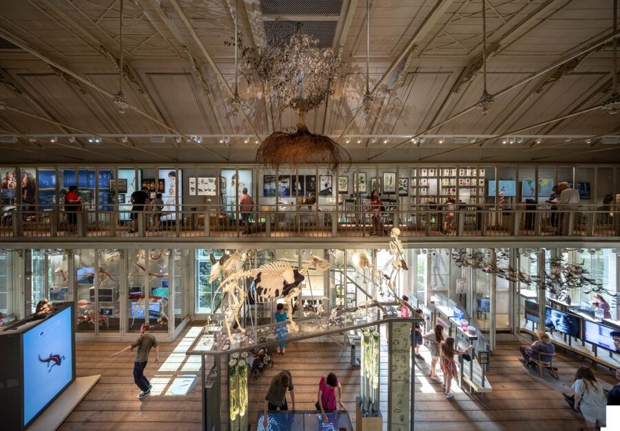 Amsterdam: ARTIS-Groote Museum Entry Ticket - Moving through 1,000 examples