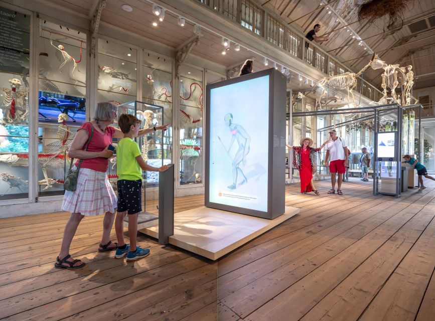 Amsterdam: ARTIS-Groote Museum Entry Ticket - Is $21 good value?