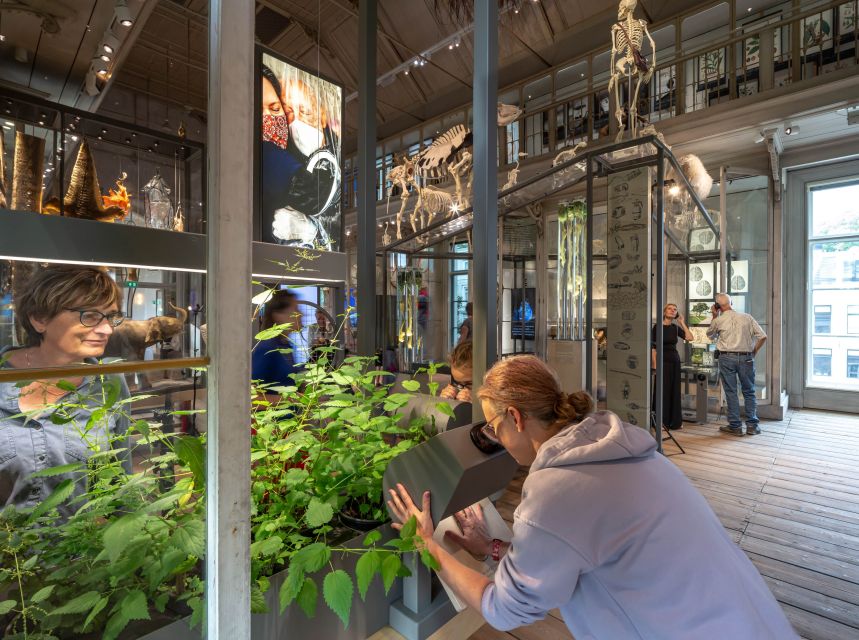 Amsterdam: ARTIS-Groote Museum Entry Ticket - Who will enjoy it most?