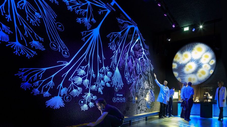 Amsterdam: ARTIS-Micropia Microbe Museum Entry Ticket - Pairing Micropia with ARTIS Zoo and the Groote Museum