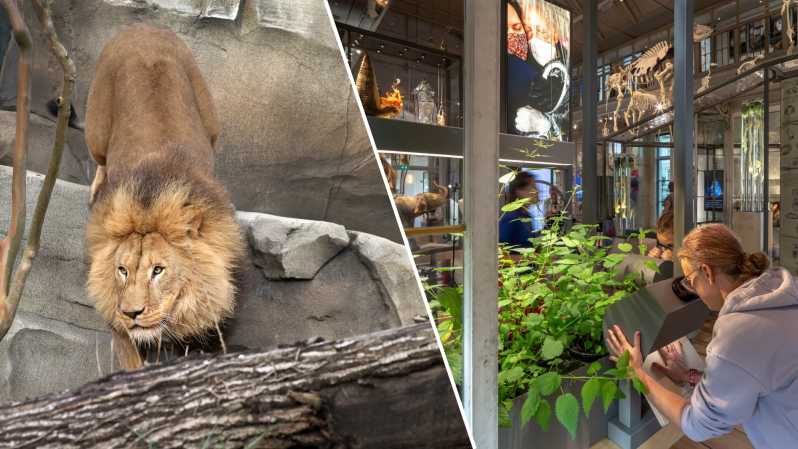 Amsterdam: ARTIS Royal Zoo and ARTIS Groote Museum Ticket - Walk the zoo’s animal trails