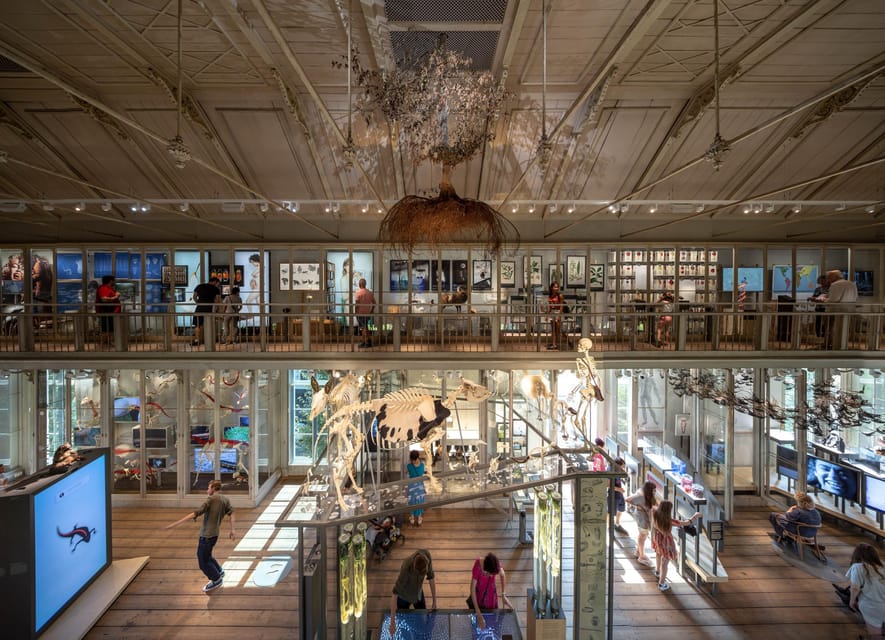 Amsterdam: ARTIS Royal Zoo and ARTIS Groote Museum Ticket - Add the Planetarium for a change of pace