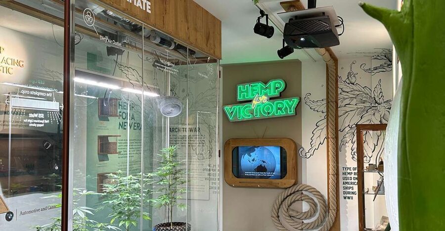 Amsterdam: Cannabis Museum Entry Ticket - Key points at a glance