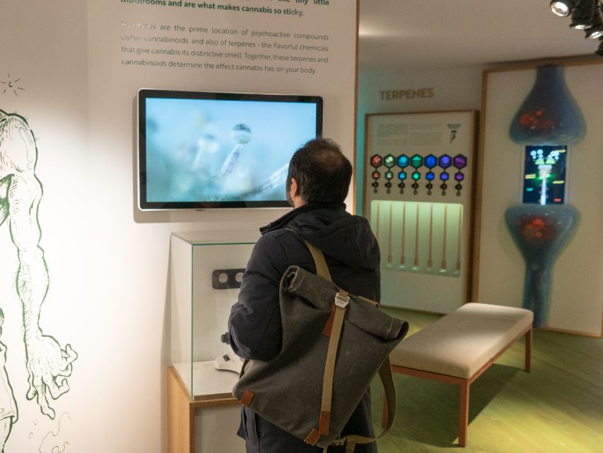 Amsterdam: Cannabis Museum Entry Ticket - What the Cannabis Museum is really like