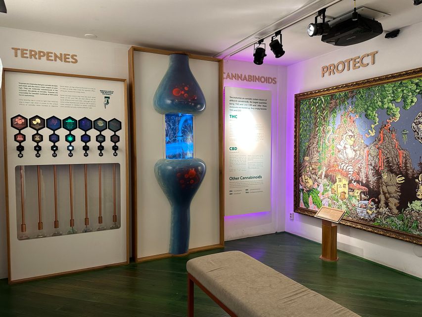 Amsterdam: Cannabis Museum Entry Ticket - The audio guide and the self-guided pace