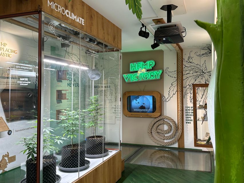 Amsterdam: Cannabis Museum Entry Ticket - Starting with cannabis, hemp, and the plant’s long journey