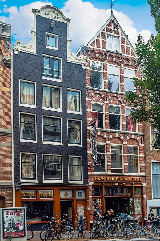 Amsterdam: Hash, Marihuana, and Hemp Museum Entry Ticket - The live cannabis garden
