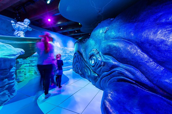 Amsterdam: National Maritime Museum Skip-the-Line Ticket - Why this museum matters to Amsterdam