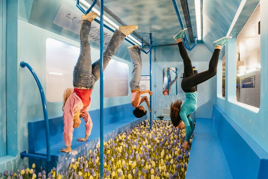 Amsterdam: The Upside Down Museum Entrance Ticket - The Dutch ice bath and metro carriage