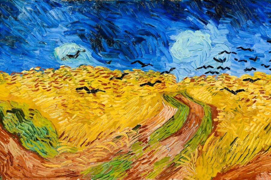 Amsterdam: Van Gogh Museum Ticket - What the audio guide adds