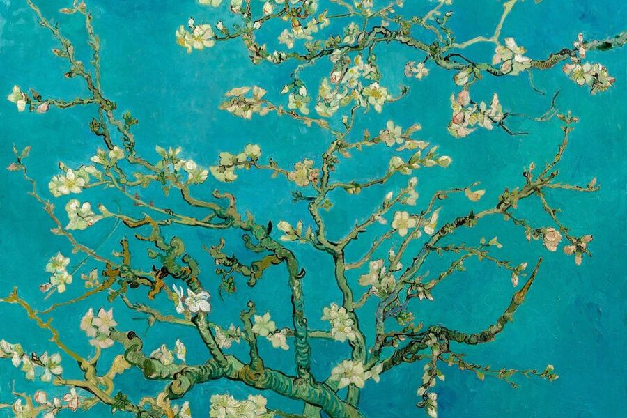 Amsterdam: Van Gogh Museum Ticket and City Canal Cruise - Key points to know before booking