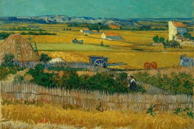 Van Gogh Museum Ticket & Canal Cruise