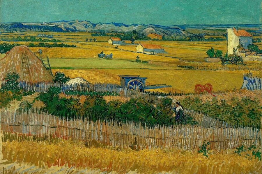 Amsterdam: Van Gogh Museum Ticket & Canal Cruise - Following Van Gogh from early work to later paintings