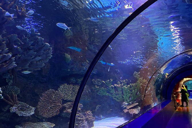 Antalya Aquarium and Face to Face Wax Museum Private Transfer - Who will enjoy this Antalya outing?