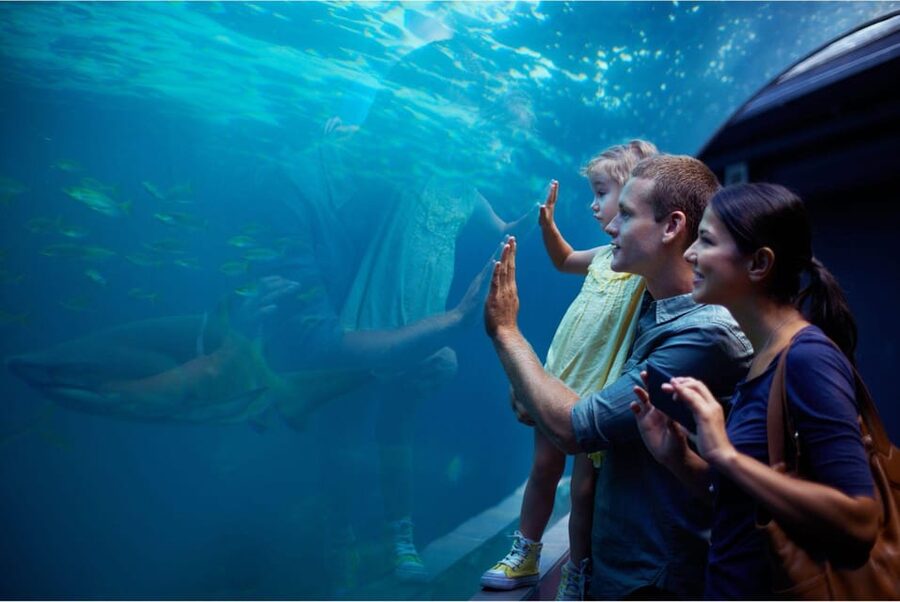 Antalya: Aquarium and Wax Museum Entry Ticket - Thousands of species, from familiar to unsettling