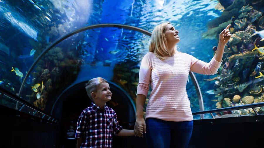 Antalya: Aquarium and Wax Museum Entry Ticket - Face 2 Face Wax Museum adds a change of pace