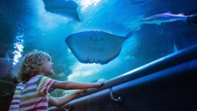 Antalya: Aquarium and Wax Museum Entry Ticket