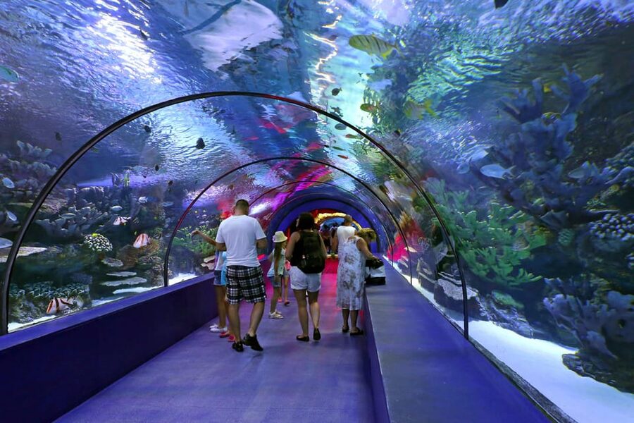 Antalya: Aquarium and Wax Museum Entry Ticket - What the 4.4 rating tells you about the experience