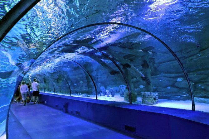 Antalya: Aquarium, Wax Museum & Combo Package Options - Face2Face Wax Museum: easy celebrity photos upstairs