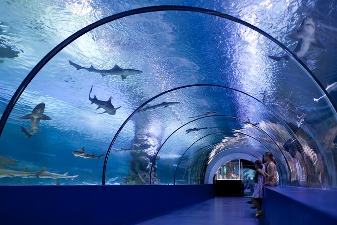 Antalya: Aquarium, Wax Museum & Combo Package Options - Price, cancellation, and practical value