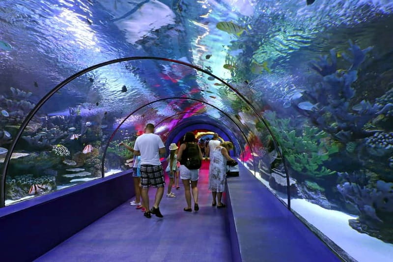 Antalya: Aquarium, Wax Museum & Combo Package Options - Booking details worth checking