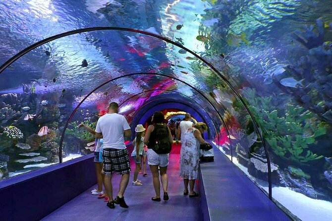 Antalya: Aquarium, Wax Museum & Combo Package Options - The tropical reef section brings the most color