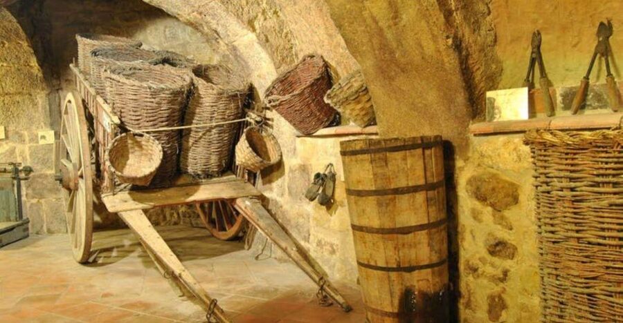 Aranda de Duero: Tour of Underground Cellar and Wine Museum - Who will enjoy this museum visit?