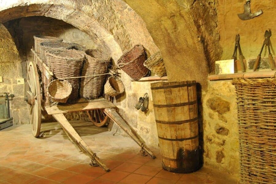 Aranda de Duero: Tour of Underground Cellar and Wine Museum - What happens during the 45-minute visit