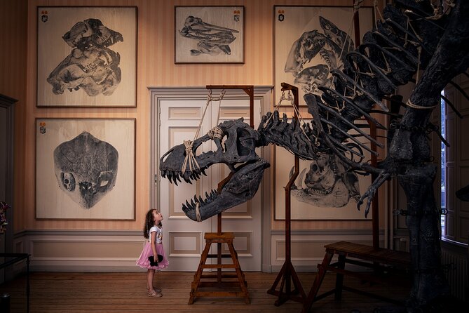 Art Zoo Museum Amsterdam Tickets - Why this Amsterdam museum feels different