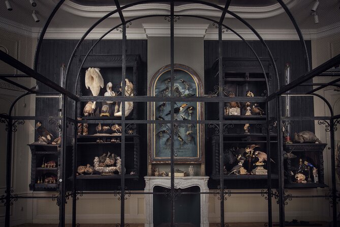 Art Zoo Museum Amsterdam Tickets - Why families may enjoy the Art Zoo