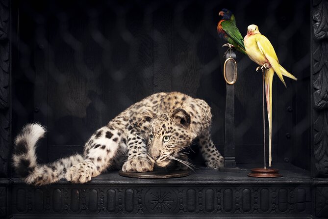 Art Zoo Museum Amsterdam Tickets - The final stop: garden and Italian bar