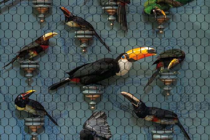 Art Zoo Museum Amsterdam Tickets - Who should book this museum