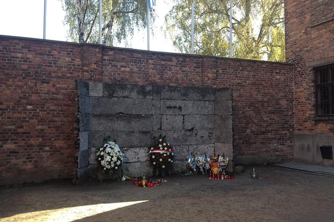 Auschwitz-Birkenau Museum and Memorial Guided Tour from Krakow - Guides, headsets, and the human side of the visit