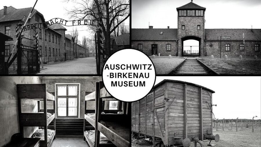 Auschwitz-Birkenau: Museum Entry Ticket with Guided Tour - Why seeing both Auschwitz sites matters