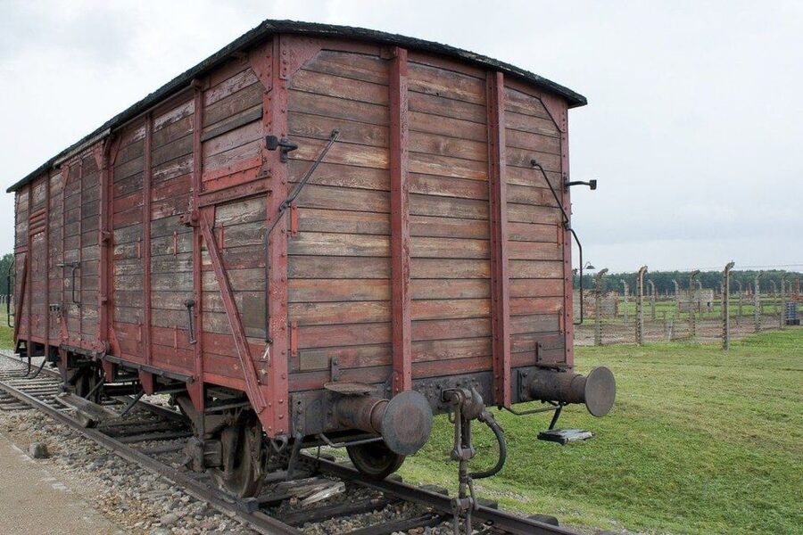 Auschwitz-Birkenau: Museum Entry Ticket with Guided Tour - Auschwitz II-Birkenau and the railway platform