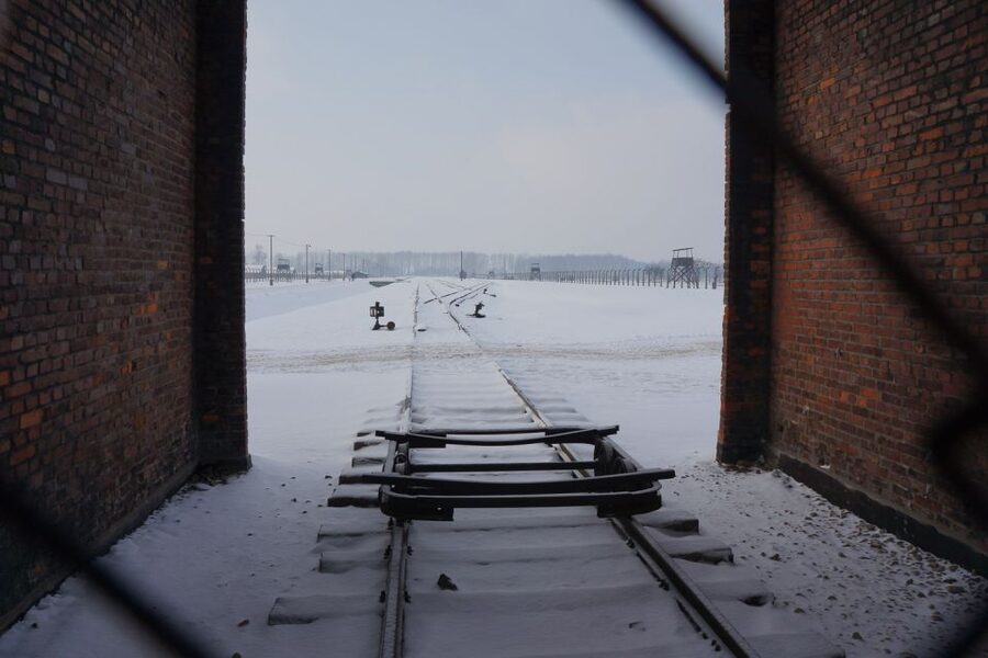 Auschwitz-Birkenau: Museum Entry Ticket with Guided Tour - What the $52 price includes