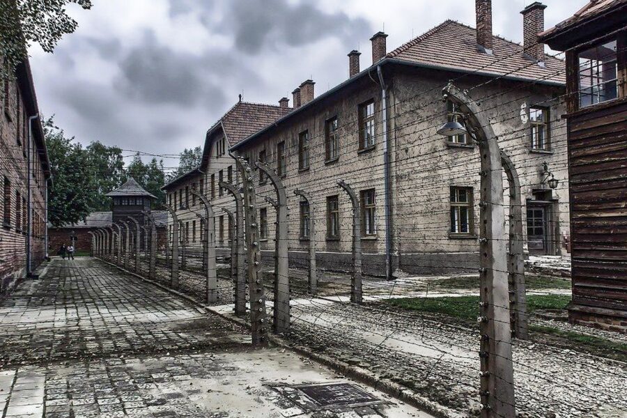 Auschwitz-Birkenau: Museum Entry Ticket with Guided Tour - Timing, crowds, and emotional preparation