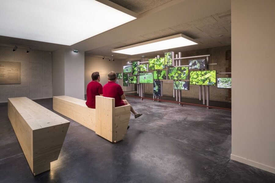 Aÿ-Champagne: Pressoria Champagne Museum with Tasting - The Main Strengths and Limitations