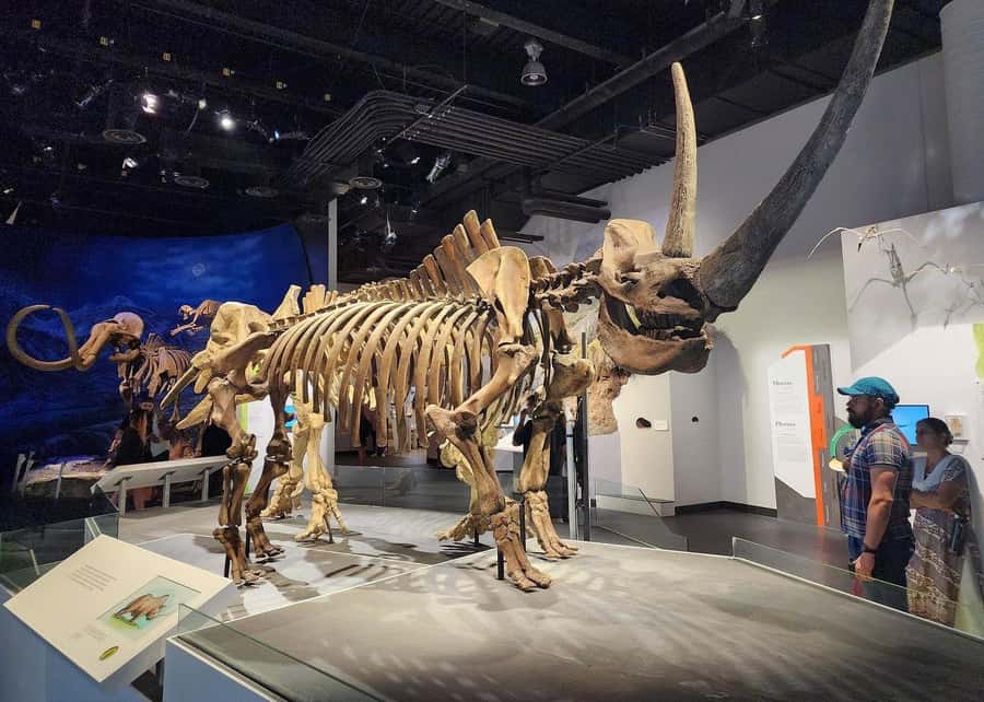 Badlands Tour: Drumheller with Museum, Hoodoos & Coal Mine - The Little Church and Drumheller’s giant T-Rex